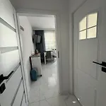 Marie 그르지보보