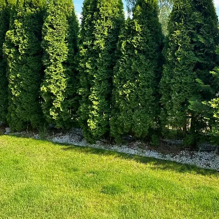 Marie * Grzybowo (West Pomeranian)